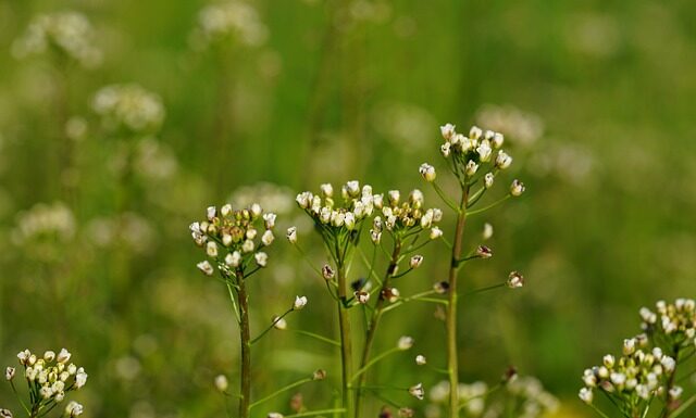 Jak nosić torbę shopper? Jak nosić torbę shopper?