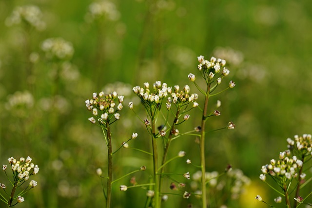 Jak nosić torbę shopper? Jak nosić torbę shopper?